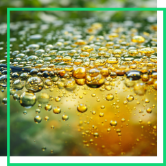 Emulsifiers (M)